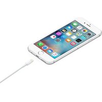 Y-MD818ZM/A | Apple Lightning to USB Cable - iPad-/iPhone-/iPod-Lade-/Datenkabel - Lightning / USB | Herst. Nr. MD818ZM/A | Kabel / Adapter | EAN: 885909627424 |Gratisversand | Versandkostenfrei in Österrreich