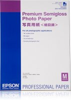 Y-C13S042093 | Epson Premium Semigloss Photo Paper -...