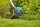 I-14700-20 | Gardena EasyCut 23/18V P4A - Rasentrimmer - 23 cm - Blade - D-Schlaufengriff - Kunststoff - Schwarz - Blau - Orange - Silber | 14700-20 | Haus & Garten | GRATISVERSAND :-) Versandkostenfrei bestellen in Österreich