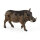 I-14843 | Schleich Wild Life Warthog - 3 Jahr(e) - Junge/Mädchen - Schwarz - Braun - 1 Stück(e) | 14843 | Spiel & Hobby