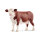 I-13867 | Schleich Farm Life 13867 - 3 Jahr(e) - Junge/Mädchen - Mehrfarben - Kunststoff - 1 Stück(e) | 13867 | Spiel & Hobby