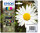 P-C13T18064012 | Epson Daisy Multipack 4 Farben 18 Claria Home Ink - Standardertrag - 5,2 ml - 3,3 ml - 175 Seiten - 1 Stück(e) - Multipack | C13T18064012 | Verbrauchsmaterial