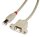 P-31801 | Lindy USB-Verlängerungskabel - USB Typ B, 4-polig (M) - USB Typ B, 4-polig (W) | Herst. Nr. 31801 | Kabel / Adapter | EAN: 4002888318013 |Gratisversand | Versandkostenfrei in Österrreich