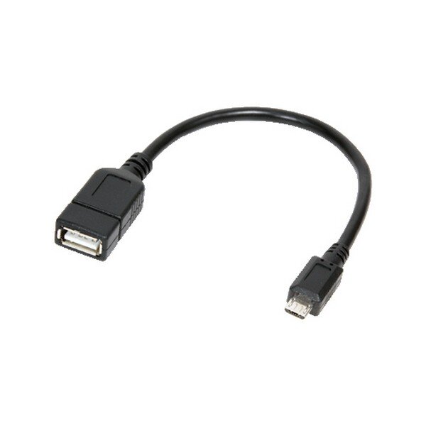 LogiLink AA0035 - Adapter - Digital / Daten Adapter Kabel 0,2 m - Schwarz