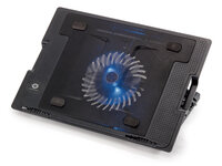 Conceptronic Klappbarer kühlender Notebook-Ständer - 43,2 cm (17 Zoll) - 1 Stück(e) - 14 cm - Schwarz - USB - 264 mm