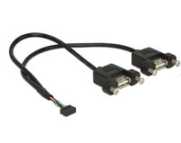 Delock USB-Kabel intern auf extern - 10-poliger USB-Header (W) bis USB (W) - 25 cm ( USB/USB 2.0 )