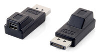 P-118916 | Equip 118916 - DisplayPort - Mini DisplayPort...