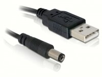 P-82197 | Delock Stromkabel - USB Typ A, 4-polig (M) -...