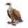 I-14847 | Schleich Wild Life Vulture Toy Figure 3 to 8 Years Multi-colour 14847 | 14847 | Spiel & Hobby
