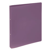 Pagna 20900-12 - A4 - Rundring - Lagerung - Polypropylen (PP) - Violett - 2,5 cm