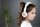 L-BP-EXPLOREP-WHITE | BuddyPhones Kopfhörer für Kinder| Basic| Weiß | BP-EXPLOREP-WHITE | Audio, Video & Hifi