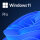P-FQC-10528 | Microsoft Windows 11 Pro OEM - Erstausrüster (OEM) - 1 Lizenz(en) - 64 GB - 4096 GB - 1000 GHz - Englisch | FQC-10528 | Software