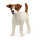 Schleich Farm Life Jack Russell Terrier. Empfohlenes Alter in Jahren (mind.): 3 Jahr(e), Produktfarbe: Braun, Weiß. Anzahl enthaltener Produkte: 1 Stück(e)