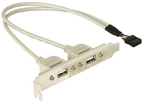 X-71000 | Delock Slotbracket 1x internal USB 5pin > 2x USB2.0 external - 0,3 m - USB A - Weiß | 71000 | Zubehör