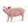 I-13933 | Schleich Farm World Schwein| 13933 | 13933 | Spiel & Hobby