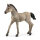 I-13949 | Schleich Horse Club Criollo Definitivo Foal Toy Figure 5 to 12 Years Brown | 13949 | Spiel & Hobby