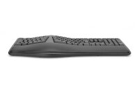 ADA-20157N | DIGITUS Ergonomische Tastatur, kabellos, 2,4 GHz | Herst. Nr. DA-20157 | Eingabegeräte | EAN: 4016032463900 |Gratisversand | Versandkostenfrei in Österrreich