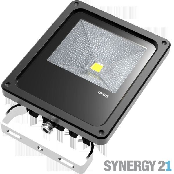 L-S21-LED-000516 | Synergy 21 Mit Notstromfunktion und Aœberhitzungsschutz Betriebsspannung>AC 207-253V LED | S21-LED-000516 | Elektro & Installation