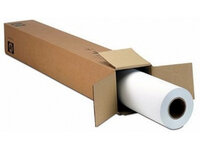 Epson Premium Semigloss Photo Paper (170) - Seidenmattfotopapier - Rolle (152,4 cm x 30,5 m)