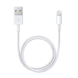 P-ME291ZM/A | Apple Lightning to USB Cable - Kabel - Digital / Daten 0,5 m - 4-polig | ME291ZM/A |Zubehör