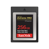 SanDisk SDCFE-256G-GN4NN - 256 GB - CFexpress - 1700 MB/s - 1200 MB/s - Schwarz