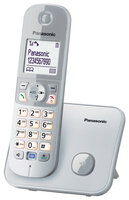 Panasonic KX-TG6811GS - DECT-Telefon - 120 Eintragungen -...