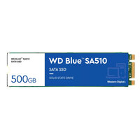 WD Blue SA510 - 500 GB - M.2 - 560 MB/s - 6 Gbit/s