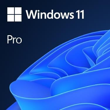 Microsoft Windows 11 Pro. Anzahl Benutzerlizenzen: 1 Lizenz(en). Min. benötigter Speicherplattenplatz: 64 GB, Min. benötigter RAM: 4096 GB, Min. benötigte Prozessorgeschwindigkeit: 1000 GHz. Unterstützte Sprachen: Niederländisch, Medientyp: DVD