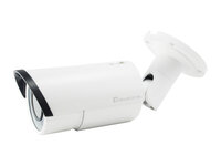 LevelOne FCS-5060 - IP-Sicherheitskamera - Innen & Außen - Kabelgebunden - CE,FCC - Decke/Wand - Weiß