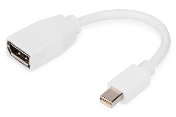 Digitus DisplayPort™ Adapterkabel, mini DP - DP. Kabellänge: 0,15 m, Anschluss 1: Mini DisplayPort, Anschluss 2: DisplayPort. Paketgewicht: 310 g