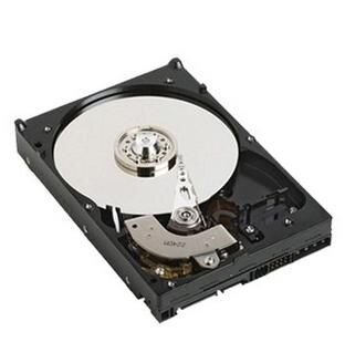 ET-THGNN | Dell THGNN - 3.5 Zoll - 4000 GB - 7200 RPM | THGNN | PC Komponenten