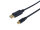 P-133442 | Equip DisplayPort Mini -> DP St/St 2.0m 4K/60Hz komp.HDCP sw - Digital/Display/Video | 133442 | Zubehör