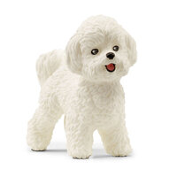 I-13963 | Schleich FW Bichon Frise 13963 | 13963 | Spiel & Hobby