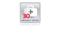 P-10320 | Lancom Emergency Support Voucher | 10320 |Service & Support