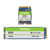 P-KBG50ZNS256G | Kioxia KBG50ZNS256G - 256 GB - M.2 -...