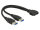 Delock USB-Kabel intern auf extern - 19-polige USB 3.0-Stiftleiste (M) bis 9-polig USB Typ A (M) - 25 cm ( USB 3.0 )