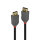 Lindy Anthra Line - DisplayPort-Kabel - DisplayPort (M) bis DisplayPort (M)