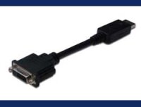 DIGITUS DisplayPort Adapter / Konverter