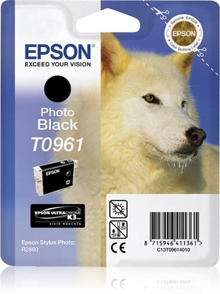 Epson T0961 - Druckerpatrone - 1 x Photo schwarz